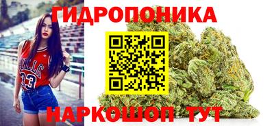 spice Кунгур