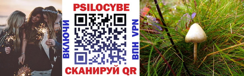купить наркоту  Приморско-Ахтарск  Галлюциногенные грибы Magic Shrooms 