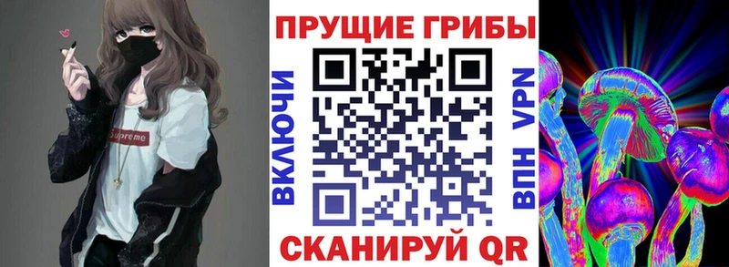Псилоцибиновые грибы Cubensis Приморско-Ахтарск