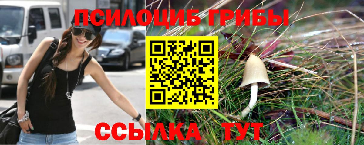 Галлюциногенные грибы мицелий Приморско-Ахтарск